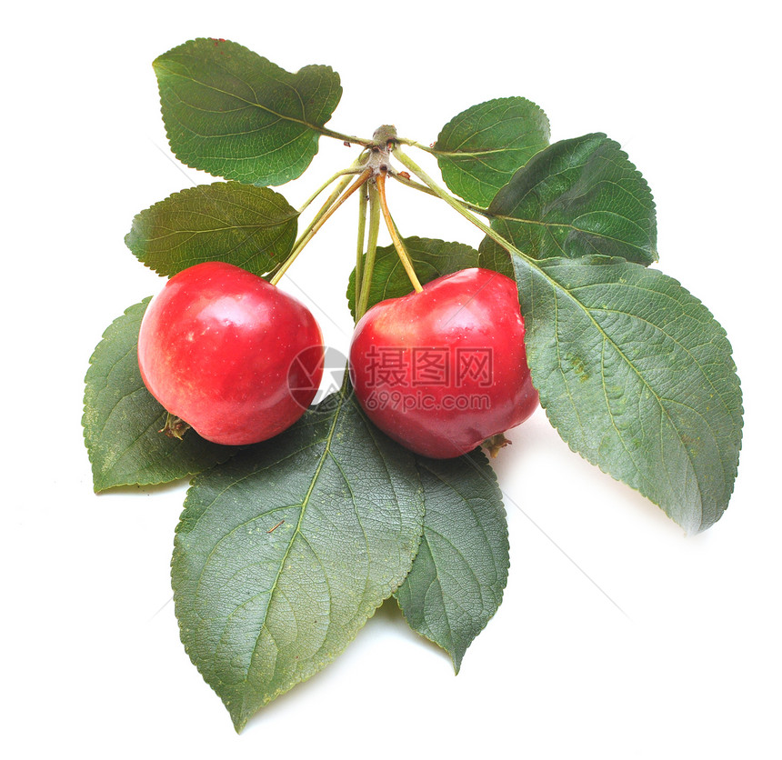 成熟的红苹果绿叶在白色背景上被隔离图片