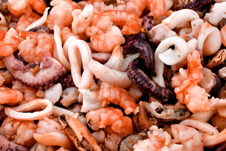 海产食品沙拉包括虾鱿鱼图片