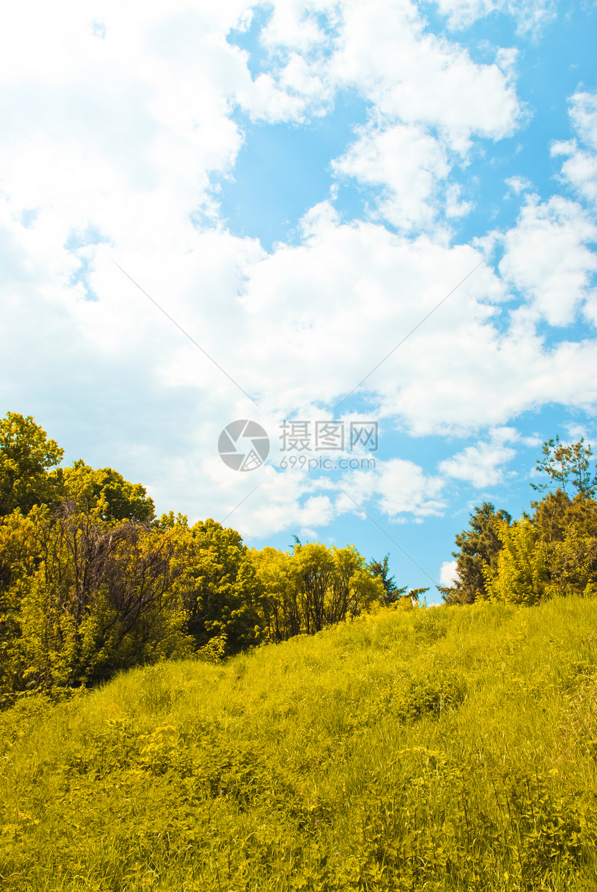 树草和天空作为自然背景图片