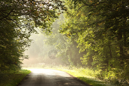 乡村公路在清晨领先在夏季末由迷图片