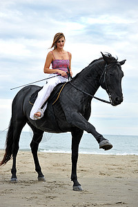 海滩上美丽的黑母马和年轻背景图片