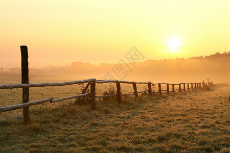 日出在雾蒙的田野与前景中的木栅栏图片