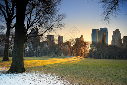 纽约市中央公园中心公园有摩天大图片