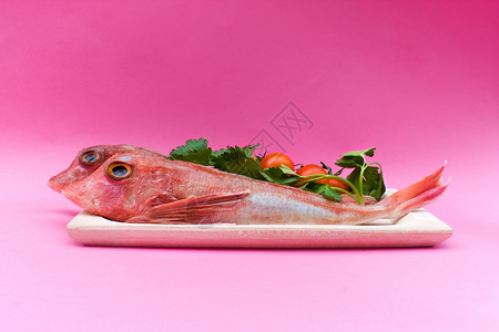 食物鱼配红色古纳德鱼的盘子图片