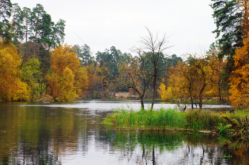湖和明亮的树和灌木风景如画的秋天风景图片