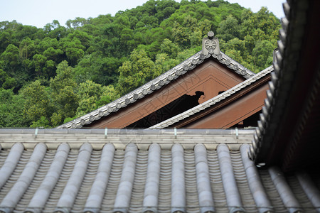 庙屋顶图片