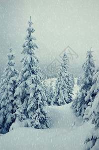 乌克兰喀尔巴阡山脉雪的冬季景观图片