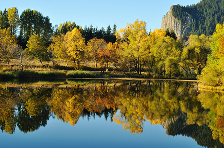 秋天色的树和湖背景图片