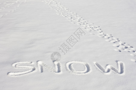 乱舞雪这个词印在一片清新雪地上除了背景