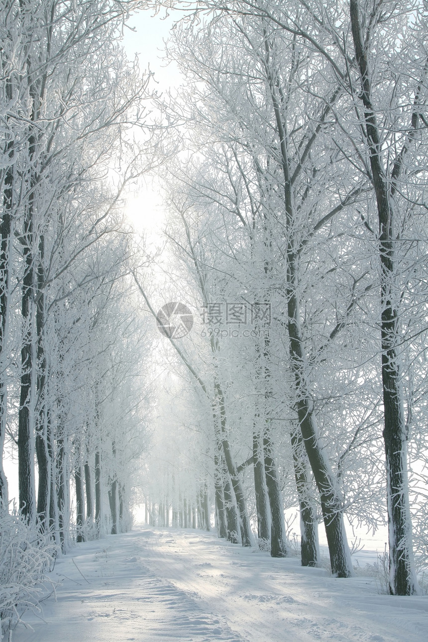 12月拍攝的照片早上的冬季乡村道路在图片