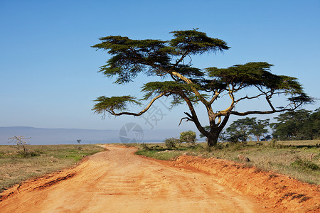 肯尼亚公路图片