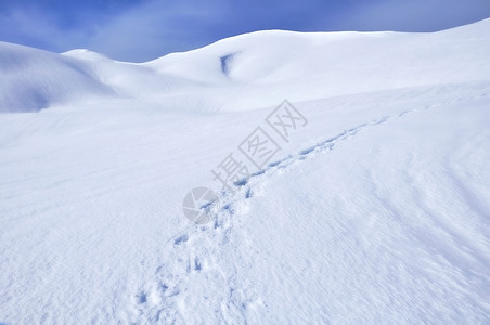 雪地里徒步旅行者的脚印绕着一座山图片