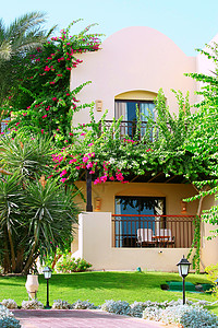 带美丽花园的热带别墅图片