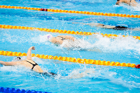 游泳者在游泳池里游泳图片