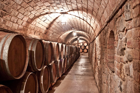 许多加仑葡萄酒储存在控制气候的地下室图片