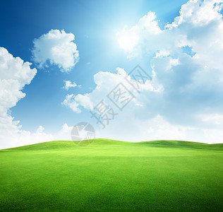 草地和完美的蓝天图片