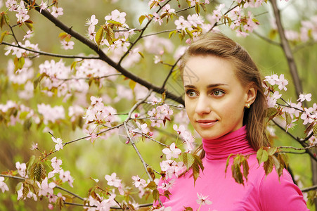 樱花春天开花前的女人背景图片