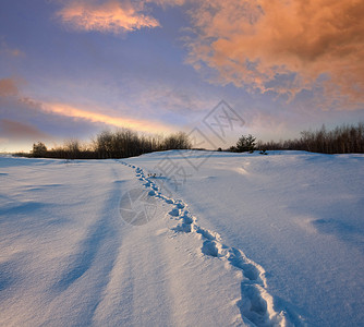 黄昏时分草原上的雪道图片