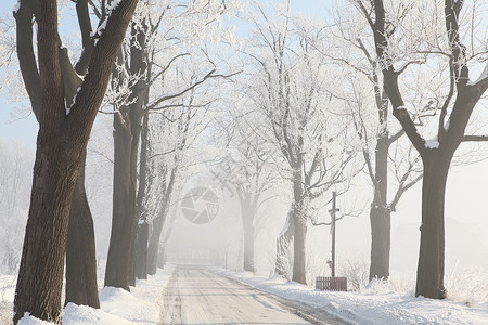 寒冬的清晨乡间道路在霜图片