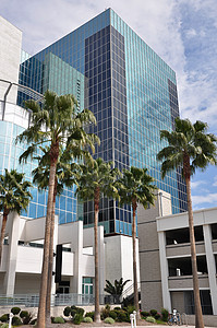 棕榈树在加利福尼亚州里弗塞德的一座办公图片