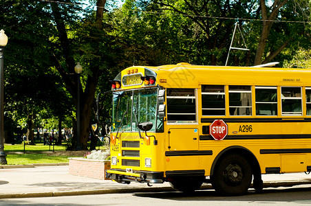 街上的黄色校车背景图片