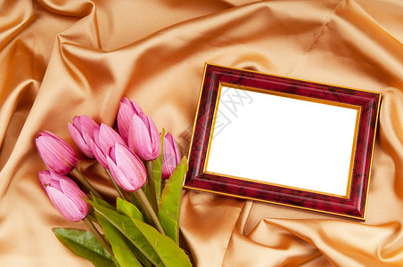 缎子上的相框和郁金香花图片