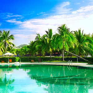有椰子树和白色伞的游泳池高清图片