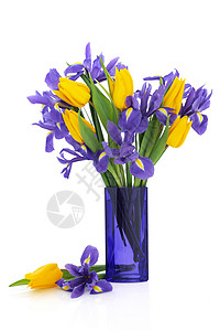 Iris和黄色郁金香花朵安排放在蓝色玻璃花瓶里图片