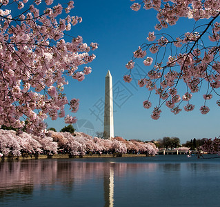 华盛顿纪念碑反映于潮季河盆地图片