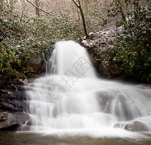 雪覆盖了叶子和山峰当劳蕾图片