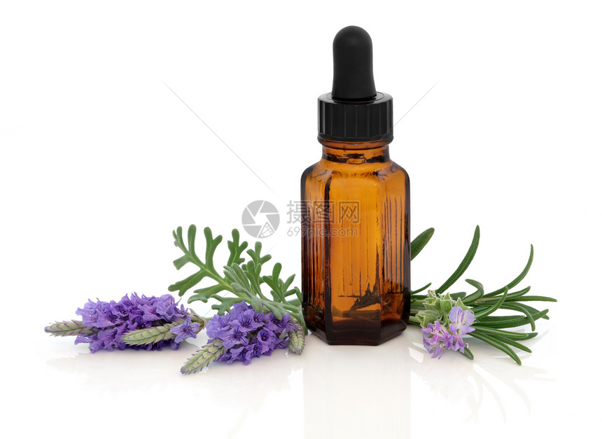 含基本油棕色玻璃浸泡瓶的紫菜花和迷迭香花及草叶螺旋图片