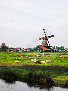 荷兰的荷兰风车这通常是关于这个的第图片
