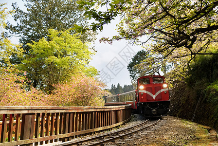 亚洲Alishan风景区与萨库拉的铁路图片