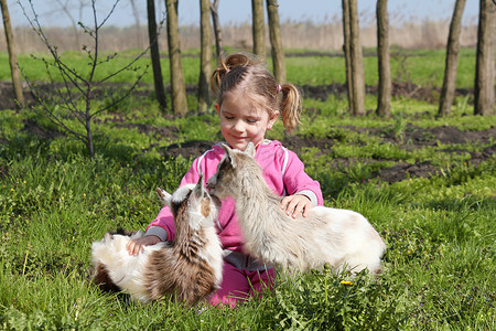 两只小山羊宠物和孩子图片