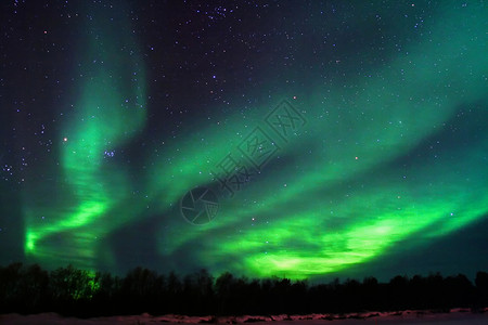 芬兰Kaamanen附近的北光Aurorano高清图片