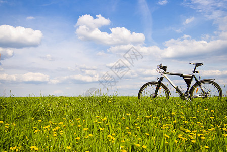 彩色自行车阳光明日小部分自行车图片