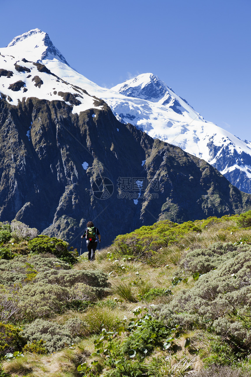 妇女远足者走在向新西兰山顶看的道路上走图片