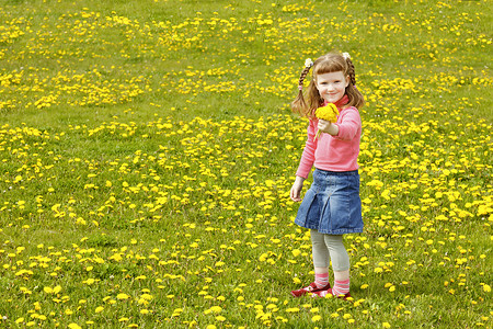 草地上可爱的小女孩图片