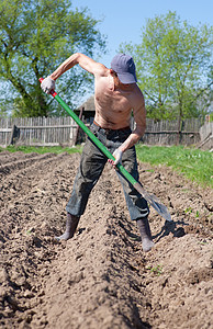 男人挖菜园图片
