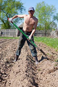 男人挖菜园图片