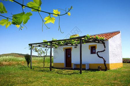 传统的乡村藤蔓小房子图片