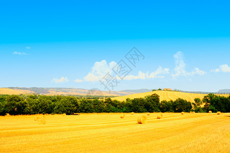 托斯卡纳倾斜的草地环绕的农舍图片