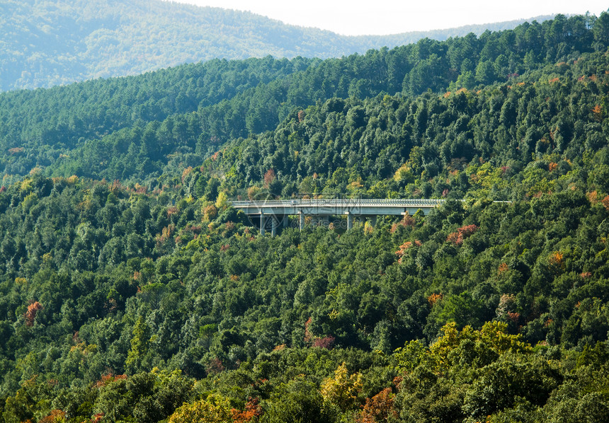 跨越森林山谷的桥梁图片