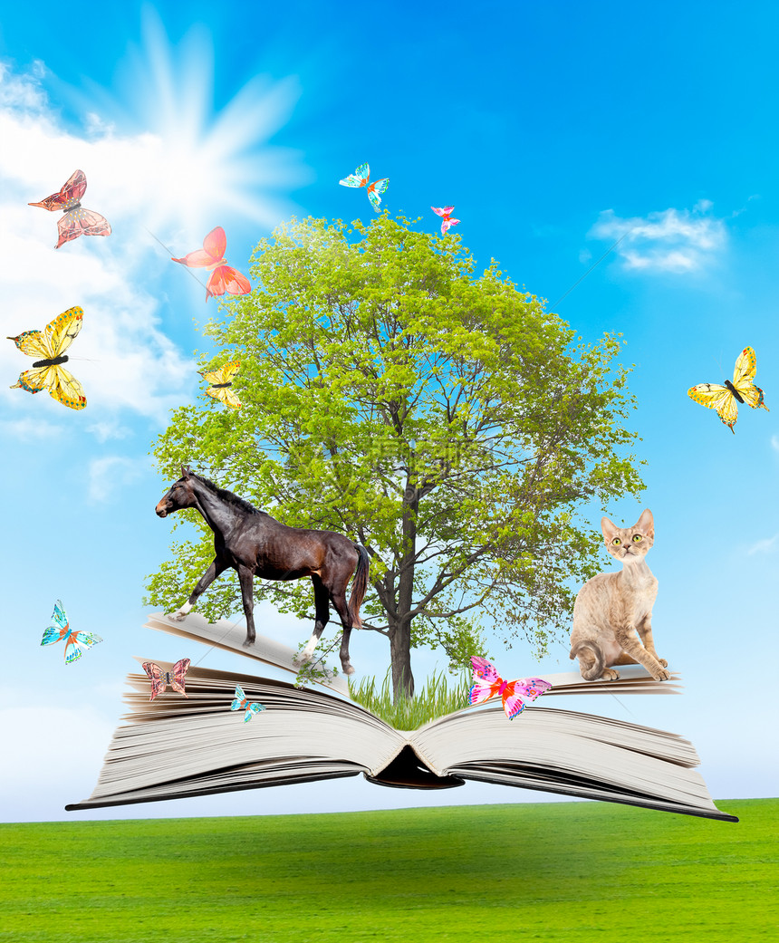 有绿色树的魔法书和自然背景上的异种动物知识的象征物图片