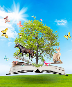 幻想曲有绿色树的魔法书和自然背景上的异种动物知识的象征物背景