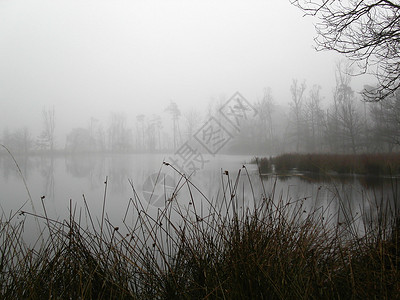 在荷兰的湖上清图片