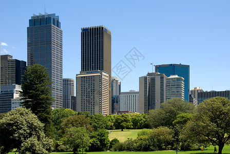 澳大利亚悉尼植物园附近城市建筑图片