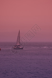 一艘游艇驶入粉红色的日落图片