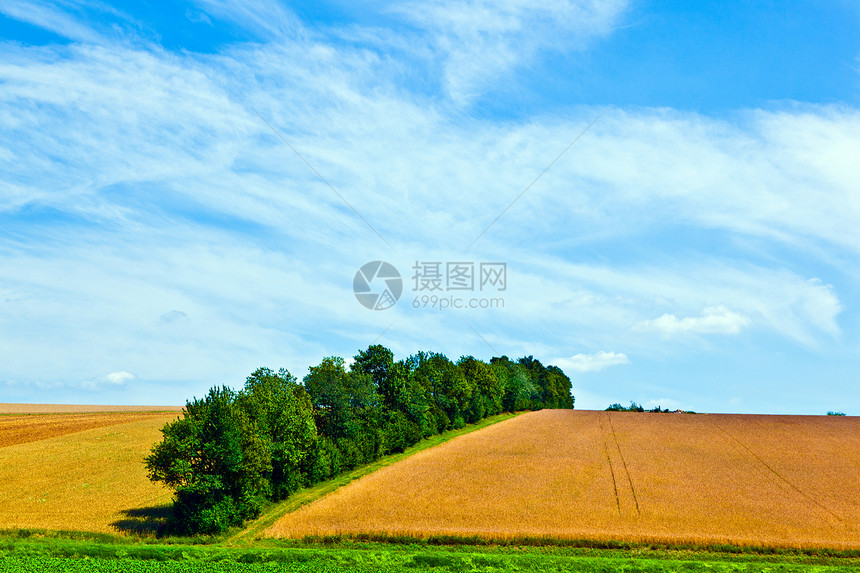 蓝色天空下农耕地区有一图片