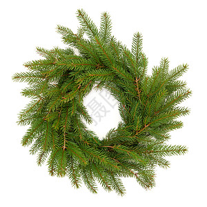 圣诞花圈由松树制成没有白色背景背景图片